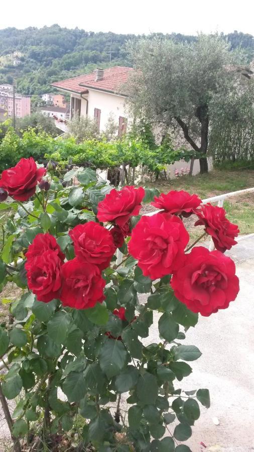 Casetta Del Nonno Bis Arcola Kültér fotó